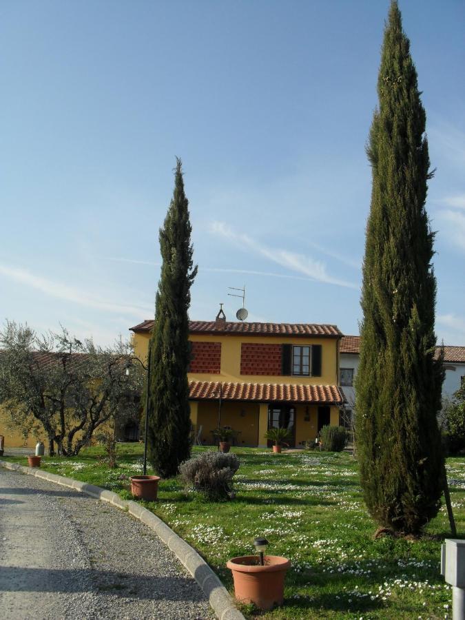 Agriturismo Tori 2 Montecarlo Dış mekan fotoğraf
