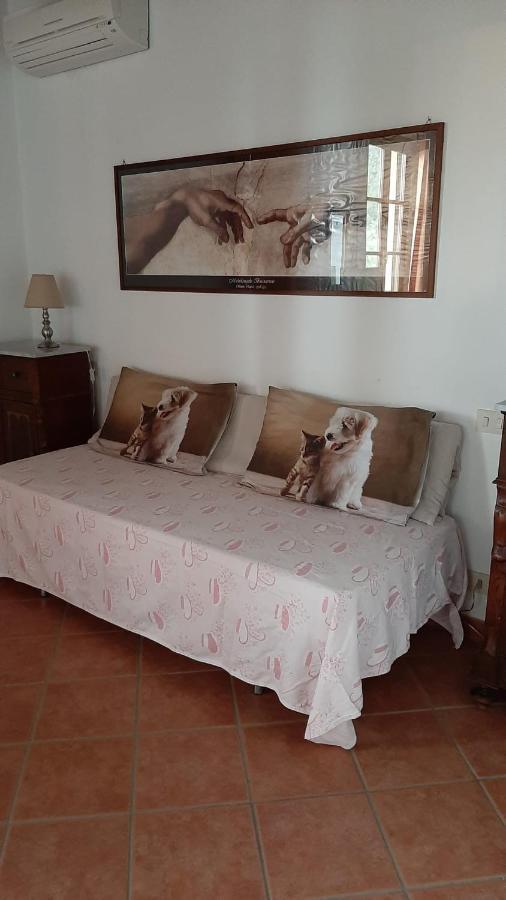 Agriturismo Tori 2 Montecarlo Dış mekan fotoğraf